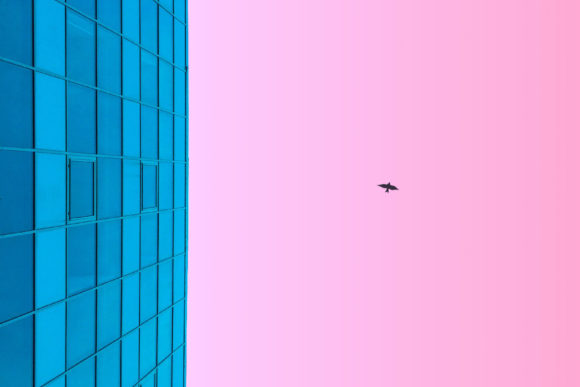 Шаляпин А.А., Данина М.М. Исследования эффекта присутствия в виртуальной реальности: современное состояние и перспективы