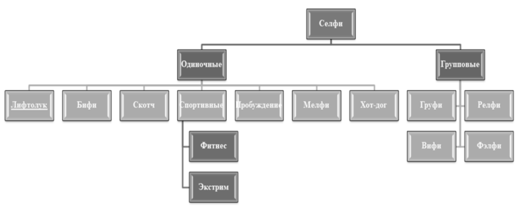 Рисунок 1 - Виды селфи в социальных сетях